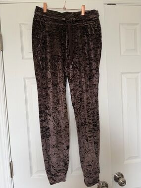 Crushed Velvet Jogger Pants in Dark Brown/Maroon